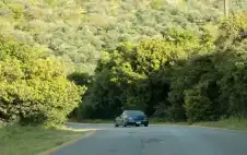 ربيع مبكر في عجلون يعزز الحركة