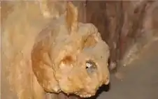 جمجمة الكهف.. لغز بشري عمره 300