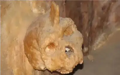 جريمة بشعة بالأردن .. مقتل شاب