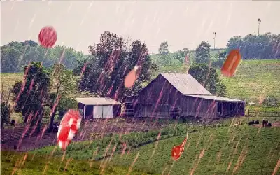 ال زريقات وال زعبي نسايب