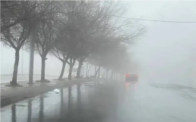 الصحة للاردنيين: الزموا منازلكم