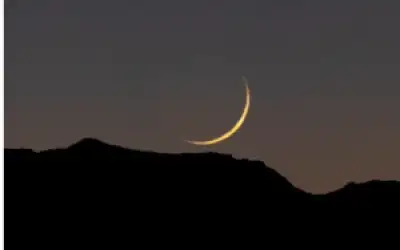 الوحش : 2 مليار دينار حجم