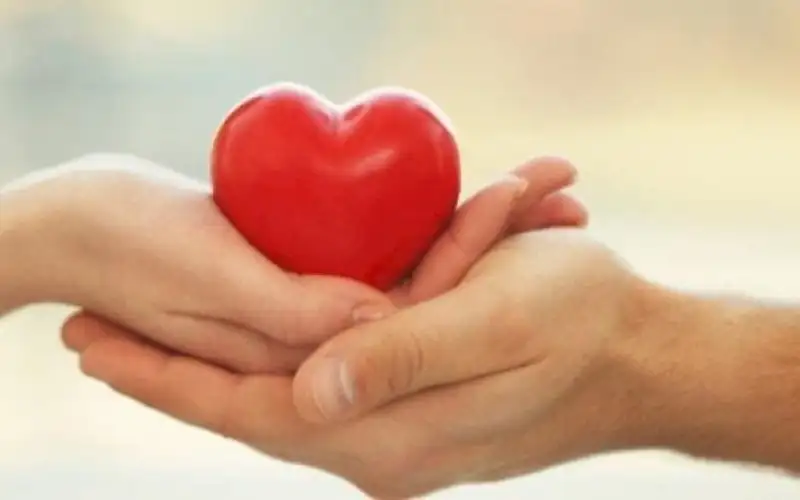 الإفتاء: الحب والهدايا جائزة لكن لا