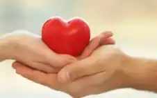 الإفتاء: الحب والهدايا جائزة لكن لا