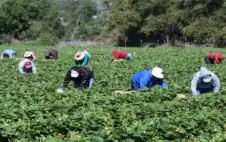 دراسة توصي بتقييم مدى استجابة مشروعات