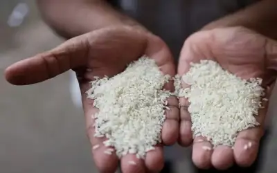 اربد: وفاة سيدة وإصابة(3) أخرين أثر