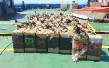 اstrongلبstrongحرية الفرنسية تضبط 2.4 طن كوكايين