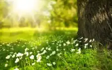 strongالأردنstrong.. كتلة دافئة ترفع درجات الحرارة