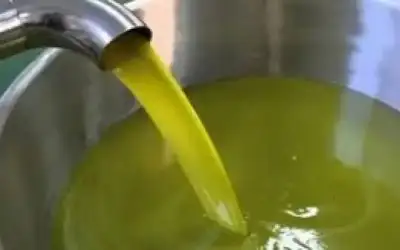 الأردن ـ المؤسسة الاستهلاكية العسكرية : الأعاصير أخرت