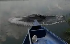 بـ 8.4 مليار دولار.. الجمبري يstrongزيstrongح