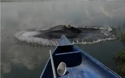 الخيرية الهاشمية: الاحتلال الإسرائيلي لا يزال