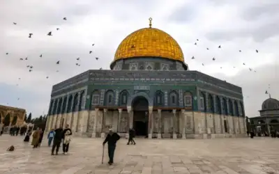 أمانة عمان تبدأ تطبيق الخصم لمسددي