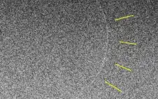 الفلك الدولي ينشر صور هلال strongرمstrongضان