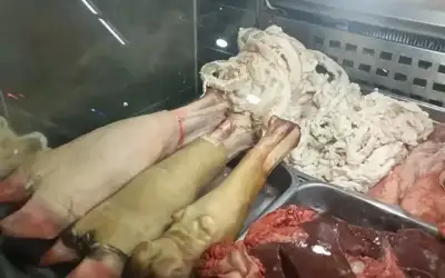 الدفاع المدني السوري يستنفر لإنقاذ طفل