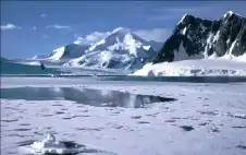 مفاجأة تهز الأوساط اstrongلبstrongحثية.. قرش ضخم