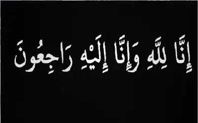 أسرار أفعى الكوبرا.. لماذا تأكل الثعابين