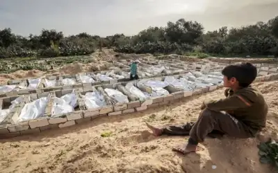 وداعا للأسمنت.. جدران من التراب والكرتون