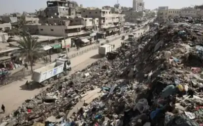 عالم بيولوجي يحل لغزا لطالما تسبب