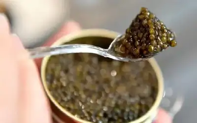 امرأة نيسان ـ 25 ألف دولار للكيلو الواحد.. أغلى