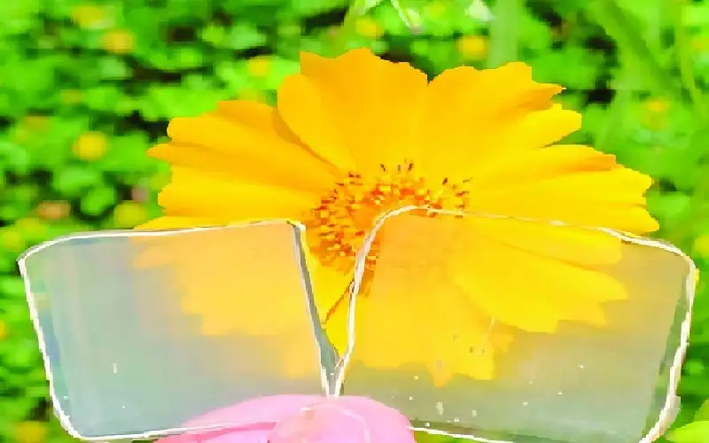 نعم .. خشب شفاف
