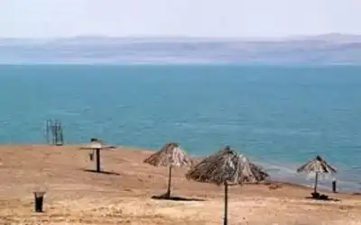 أبرز الأطعمة لتعزيز صحة الدماغ