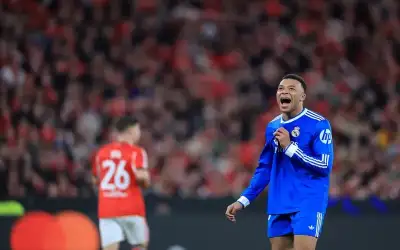 الصوت والصدى: أثر غوته في الأدب