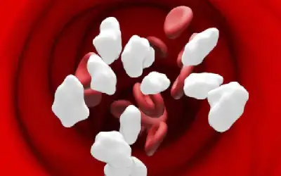 بعد إعلان الداعية الإماراتي وسيم يوسف