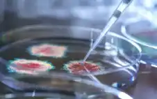 صحة ـ تطوير لقاح شامل ضد نزلات البرد