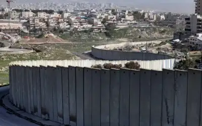 اكتشاف أقدم حفرية لنوع من الضفادع