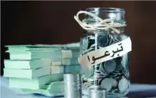 التنمية تطstrongلبstrong حظر نشر أي مواد