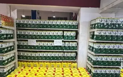 المومني: الأردن يميز بين حرية الرأي