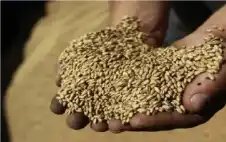 strongالأردنstrong: مجلس الإفتاء يحدد قيمة زكاة