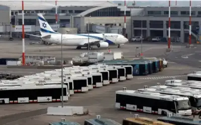 تطهير المعدة والطحال.. فوائد الليمون الأسود