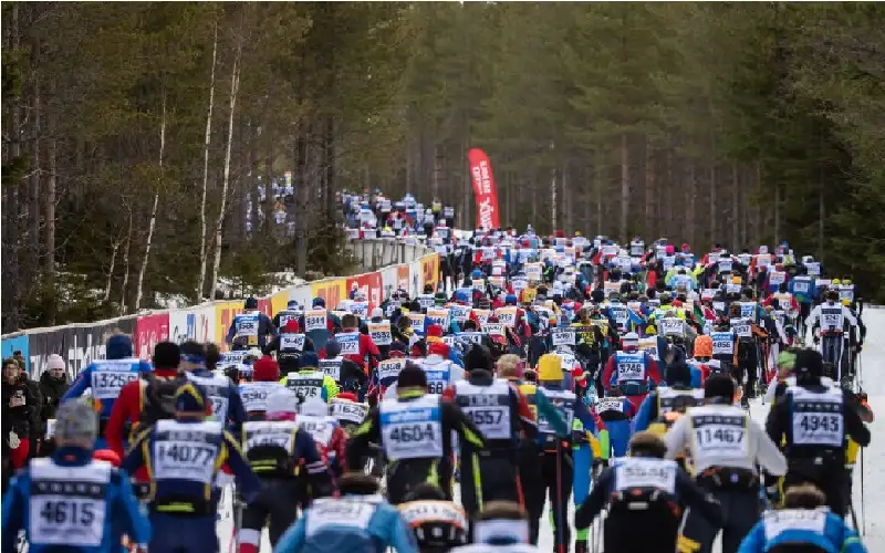 العداؤون يدفعون الثمن.. دراسة تكشف تأثير