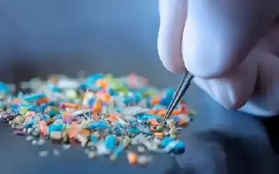 احلام الفقراء طقم أسنان. ـ بقلم: