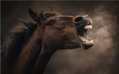 حلفاء أمريكا مجرد أعداء لم يحن