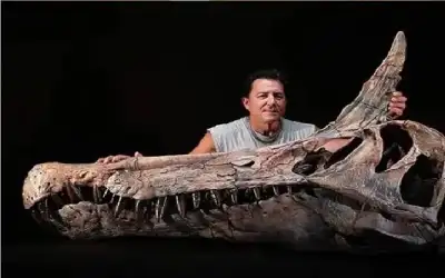 مسودة نظام ترخيص مكاتب السيارات السياحية