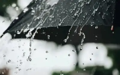 وفد وزاري أردني في برلين لتعزيز