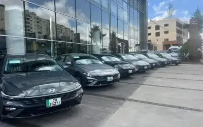 رشة حول المواد المانعة والمقاومة لانتشار