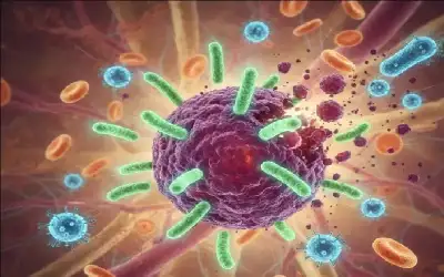 الأمير هاري وزوجته ميغان يبدآن زيارة