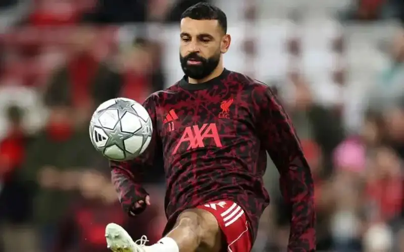 الخيارات المتاحة قليلة .. مستشار مالي