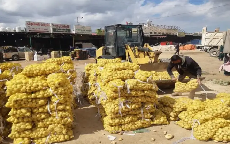 إتلاف كميات من الموز والبطاطا غير