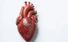 لغز طبي صامت.. لماذا لا نسمع