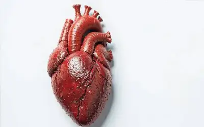 ميزة ثورية من غوغل لـقراءة المشاعر..