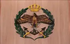 الجيش عن طلعات سلاح الجو: للحفاظ