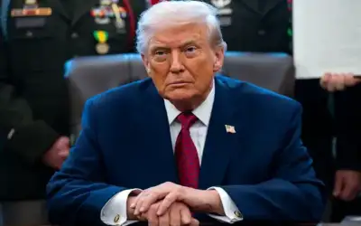 ما زلت حيا .. تدوينة لعلي