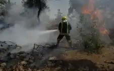 الأمن العام: أخماد حريق بأعشاب جافة