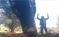 strongالسلطstrong .. سقوط شظايا صاروخ في