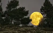 خسوف كلي للقمر يstrongزيstrongن السماء اليوم