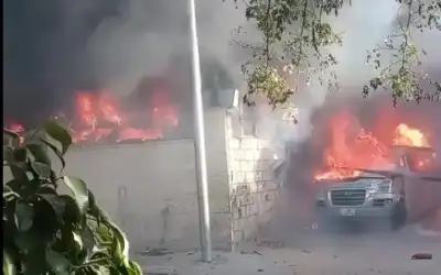 فرانشيسكا ألبانيز.. من طفلة إيطالية استيقظت